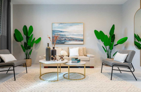 Célere Parqueluz II