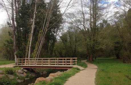 Piso en venta en avenida Antón Fraguas s/n