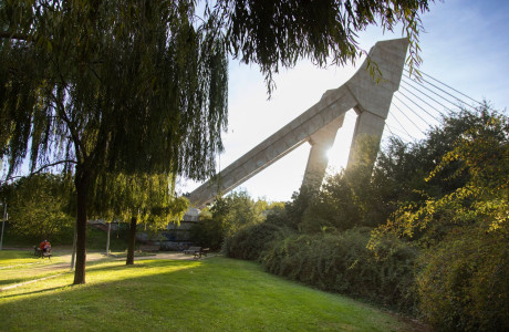 Local en venta en callejón de la Alcoholera s/n