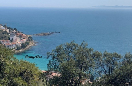 Casa o chalet independiente en venta en carretera Joan Timoneda , 25