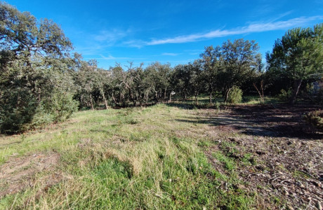 Casa o chalet independiente en venta en calle Corzo, 5