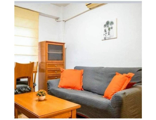 Alquiler de Piso en calle Maestro Luis Torregrosa