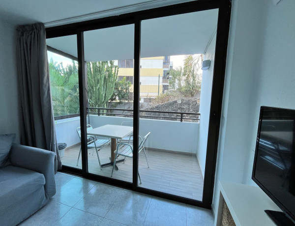 Alquiler de Piso en calle Adelfas 15, 15