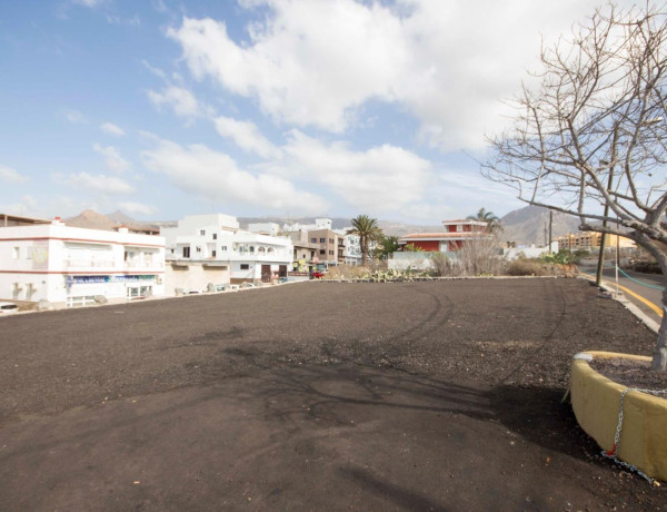 Alquiler de Local en Buzanada