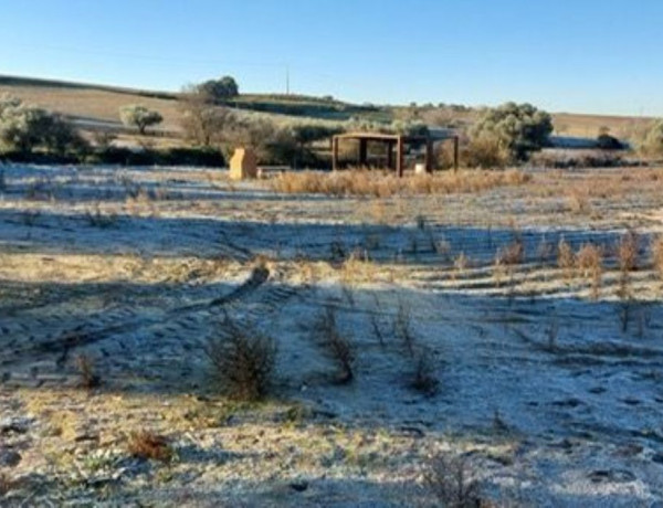 Alquiler de Terreno en Rio Alberche s/n