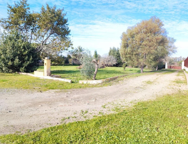 Casa o chalet independiente en venta en plaza España