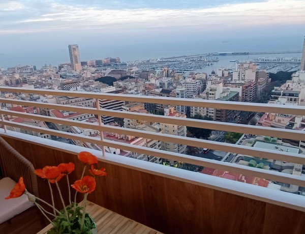 Alquiler de Estudio en Ensanche-Diputación