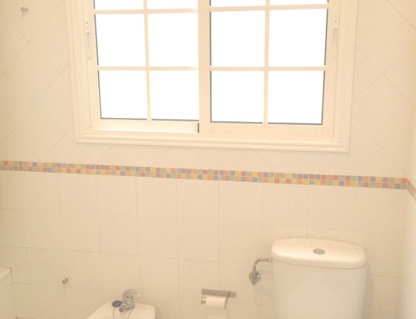 Alquiler de Piso en calle María Encarnación Navarro, 19