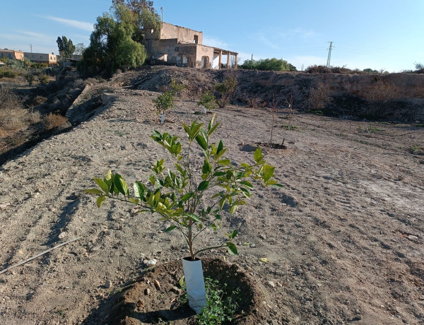 Finca rústica en venta en CM la Estación, 3