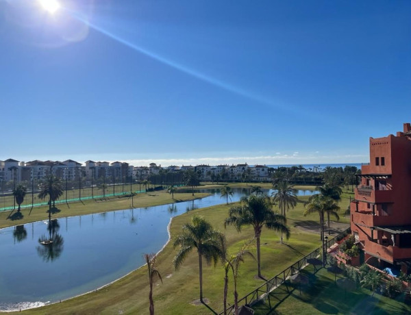 Alquiler de Ático en C. Rector Salvador Vila Hernández, 7