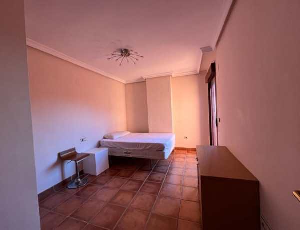 Alquiler de Ático en C. Rector Salvador Vila Hernández, 7