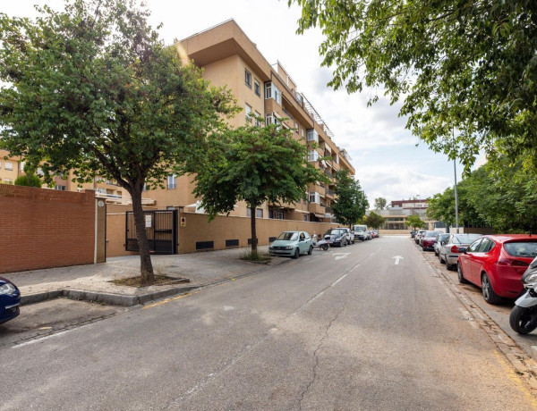 Piso en venta en Barrio de los Periodistas