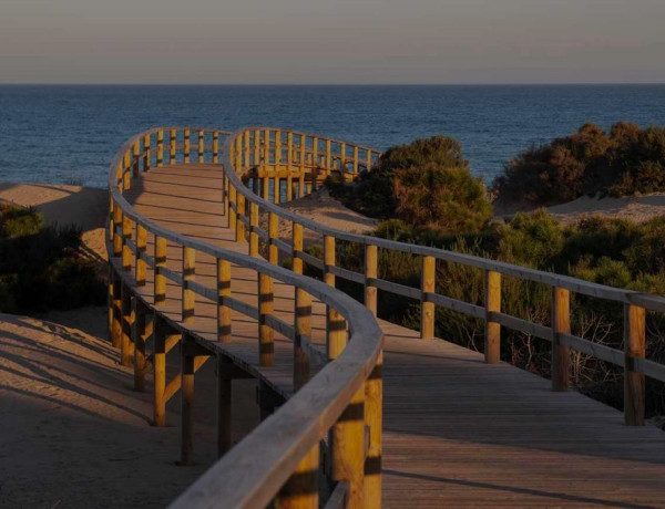 Alquiler de Piso en sanchis guarner