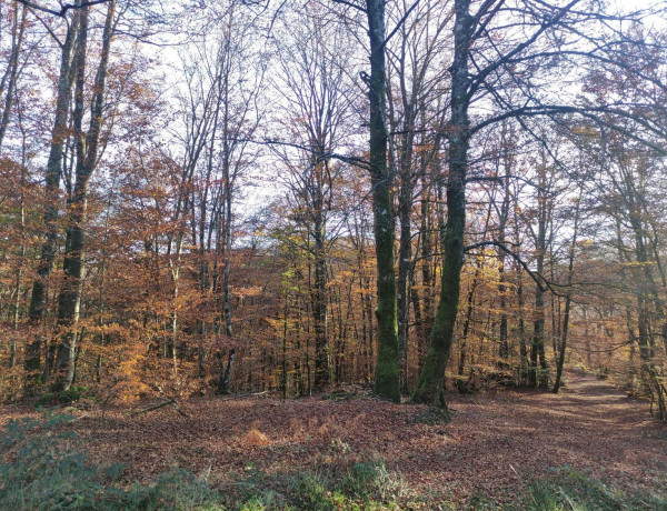 Terreno en venta en Ultzama