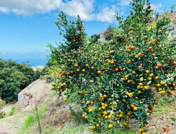 Terreno en venta en camino de la Corujera s/n