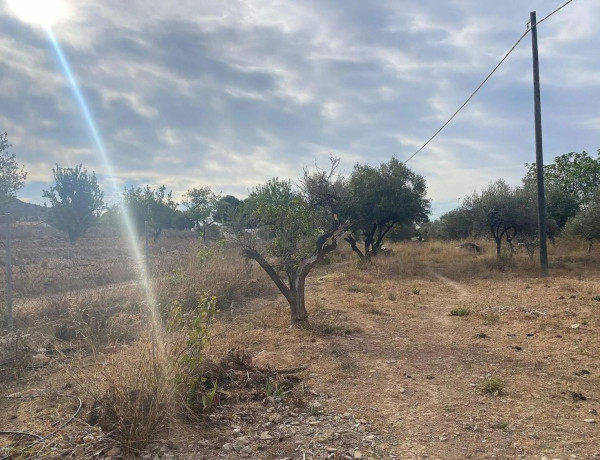 Casa o chalet independiente en venta en La Romana