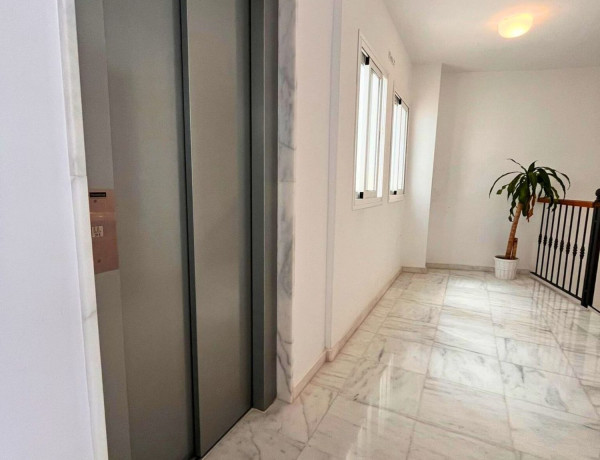 Alquiler de Piso en plaza Virgen de la Peña, 5