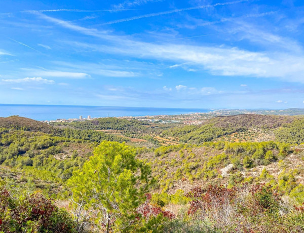 Chalet adosado en venta en avenida Lituània