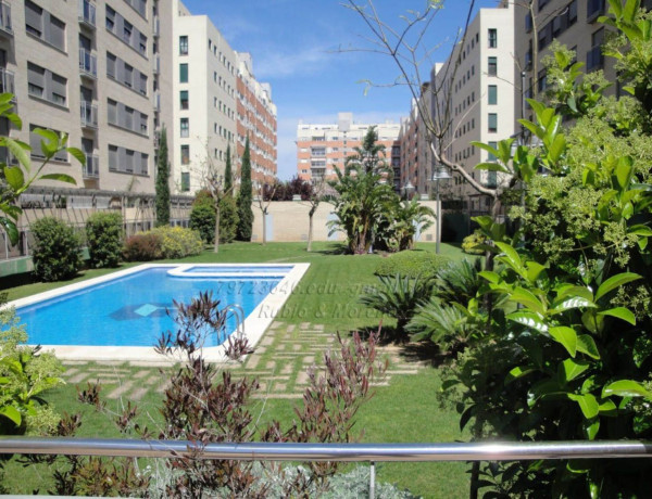Alquiler de Piso en calle de Federico Alcácer Aguilar, 2