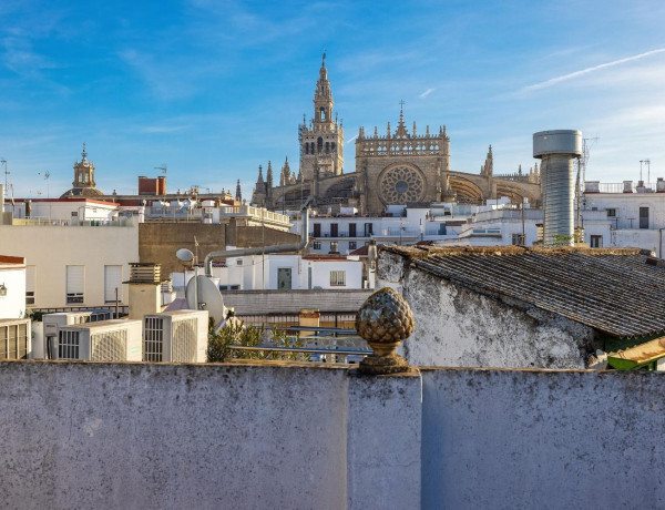 Casa o chalet independiente en venta en calle San Diego