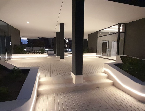 Alquiler de Ático en Torero Vicente Blau El Tino S/n s/n