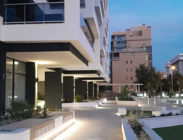 Alquiler de Ático en Torero Vicente Blau El Tino S/n s/n