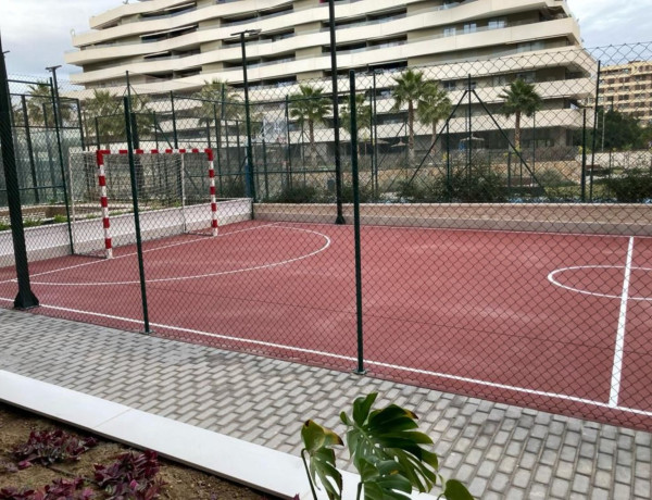 Alquiler de Ático en Torero Vicente Blau El Tino S/n s/n