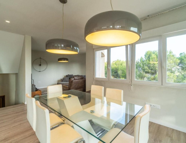 Casa o chalet independiente en venta en calle José Maria Sicilia, 1