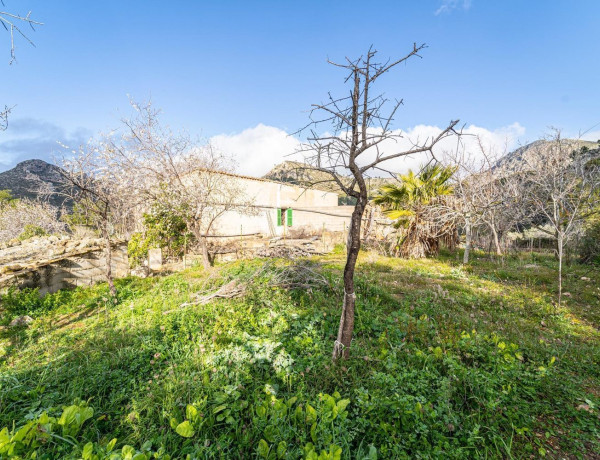 Casa o chalet independiente en venta en Andratx Pueblo