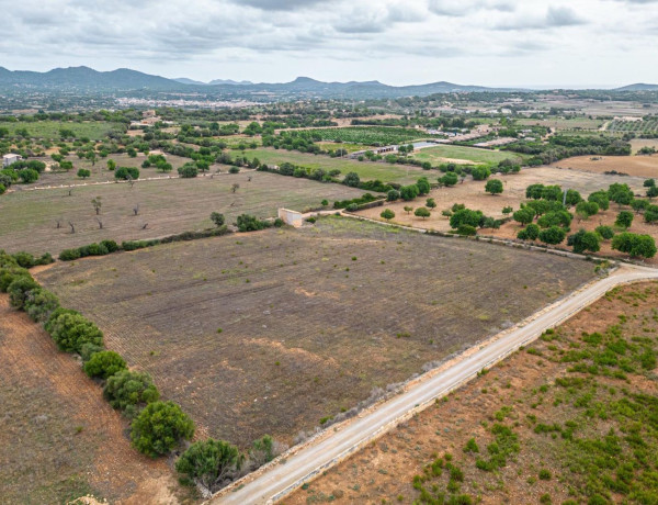 Terreno en venta en Manacor Centro