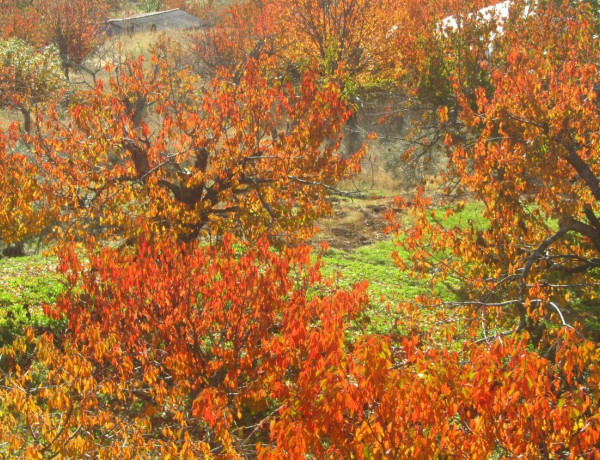 Finca rústica en venta en plaza Garganta la Olla, 1