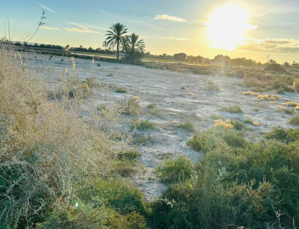 Terreno en venta en La Hoya-Daimes-El Derramador
