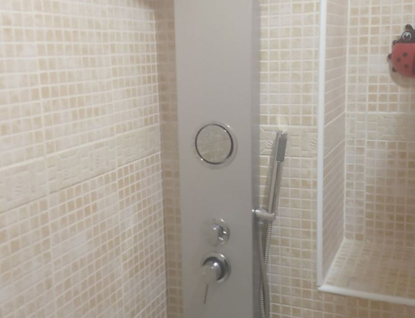 Alquiler de Piso en calle Madrid, 84