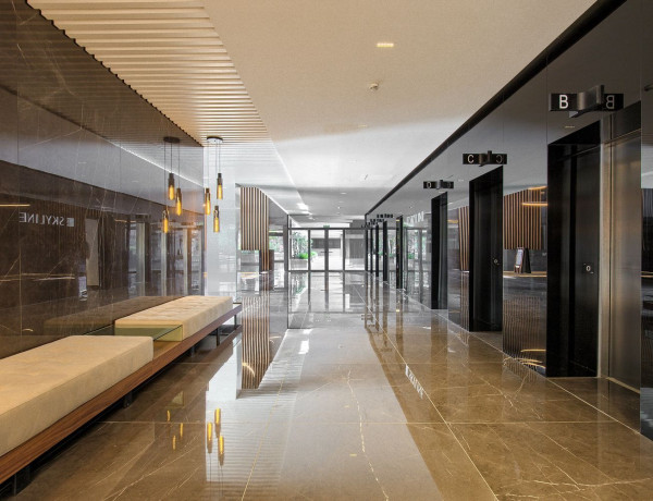 Alquiler de Piso en paseo de la Dirección, 161