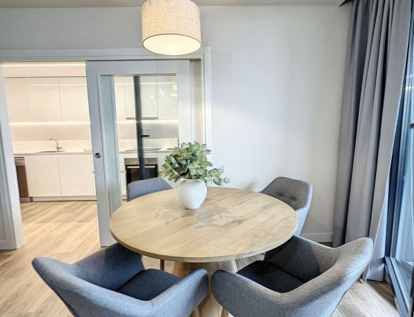 Alquiler de Piso en paseo de la Dirección, 161