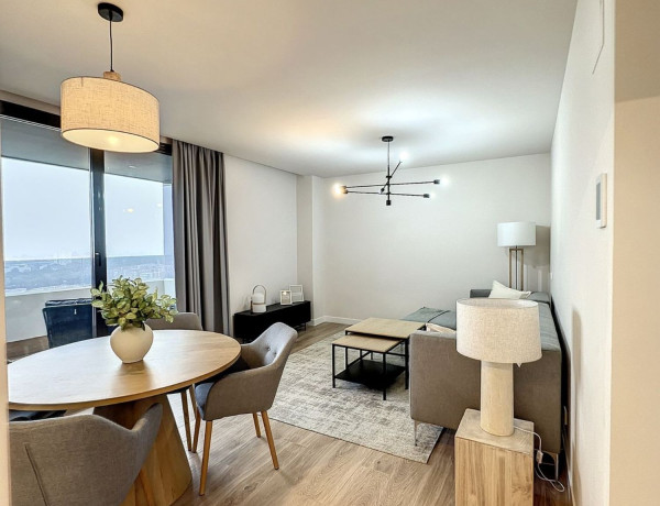 Alquiler de Piso en paseo de la Dirección, 161