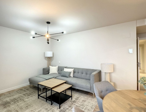 Alquiler de Piso en paseo de la Dirección, 161