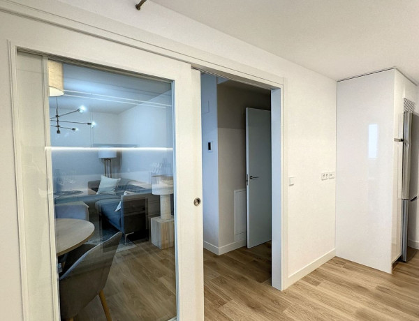 Alquiler de Piso en paseo de la Dirección, 161