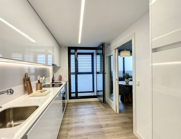 Alquiler de Piso en paseo de la Dirección, 161