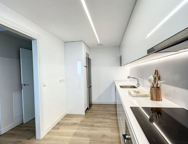 Alquiler de Piso en paseo de la Dirección, 161