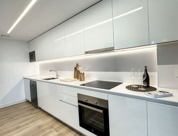 Alquiler de Piso en paseo de la Dirección, 161