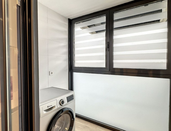 Alquiler de Piso en paseo de la Dirección, 161