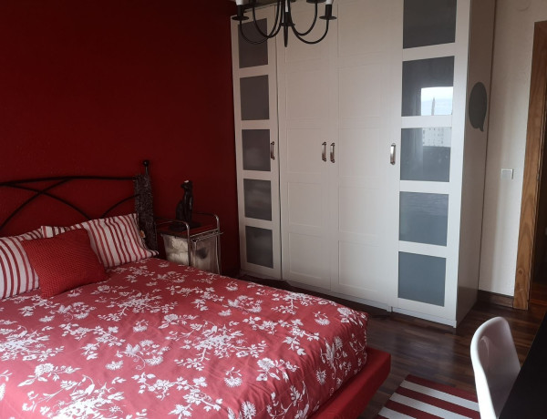 Alquiler de Piso en calle Enrique Gran, 17