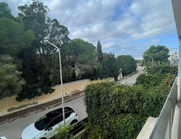 Alquiler de Piso en Samaniego s/n