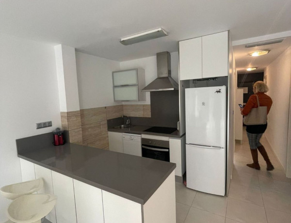 Alquiler de Piso en Samaniego s/n