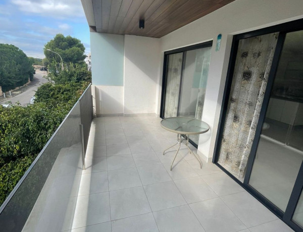 Alquiler de Piso en Samaniego s/n