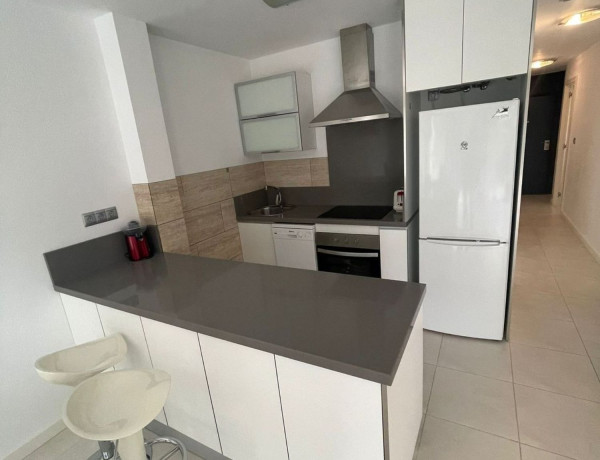 Alquiler de Piso en Samaniego s/n