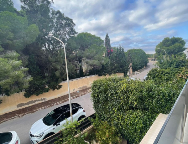 Alquiler de Piso en Samaniego s/n