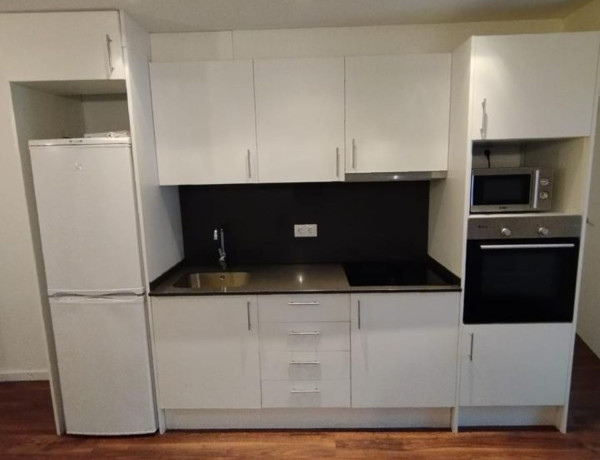 Alquiler de Piso en calle de Concepción Arenal