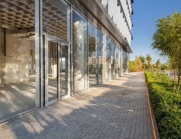 Alquiler de Oficina en calle del Puerto de Somport